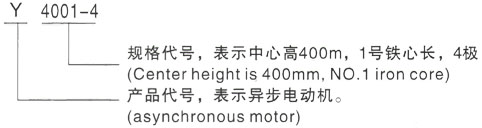 西安泰富西玛Y系列(H355-1000)高压海南藏族三相异步电机型号说明